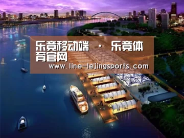 案例展示八