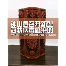 钟山县召开新型冠状病毒感染的肺炎疫情防控工作领导小组会议“乐竟体育官网”(图1) 乐竟体育官网