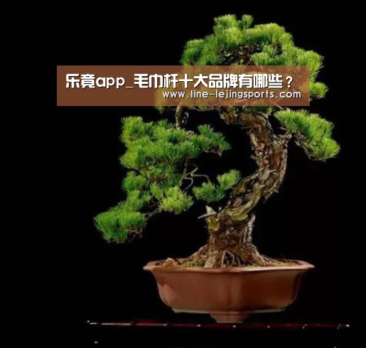 乐竟app_毛巾杆十大品牌有哪些?(图3) 乐竟