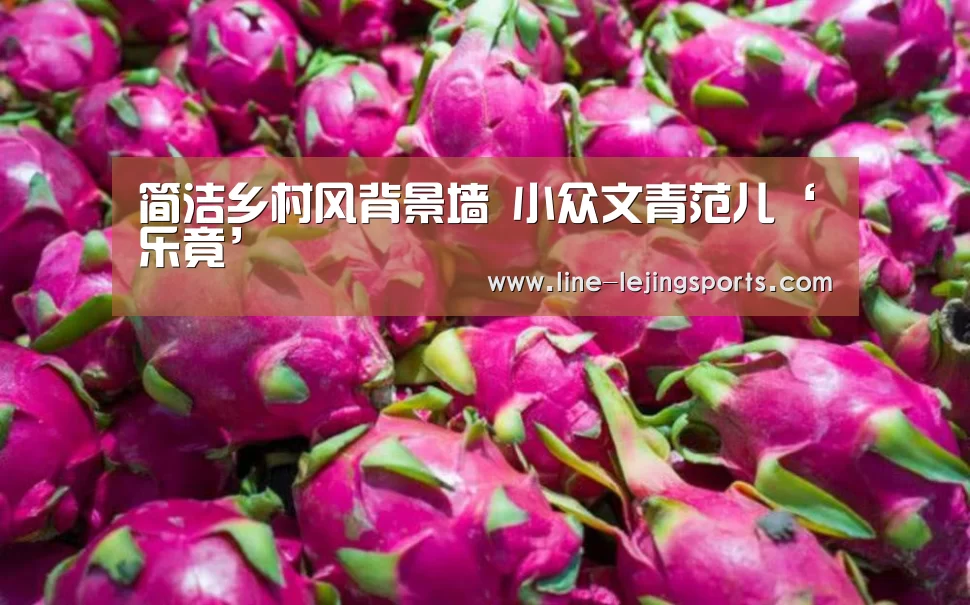 简洁乡村风背景墙 小众文青范儿‘乐竟’(图1) 乐竟app