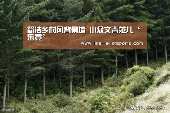 简洁乡村风背景墙 小众文青范儿‘乐竟’(图3) 乐竟app